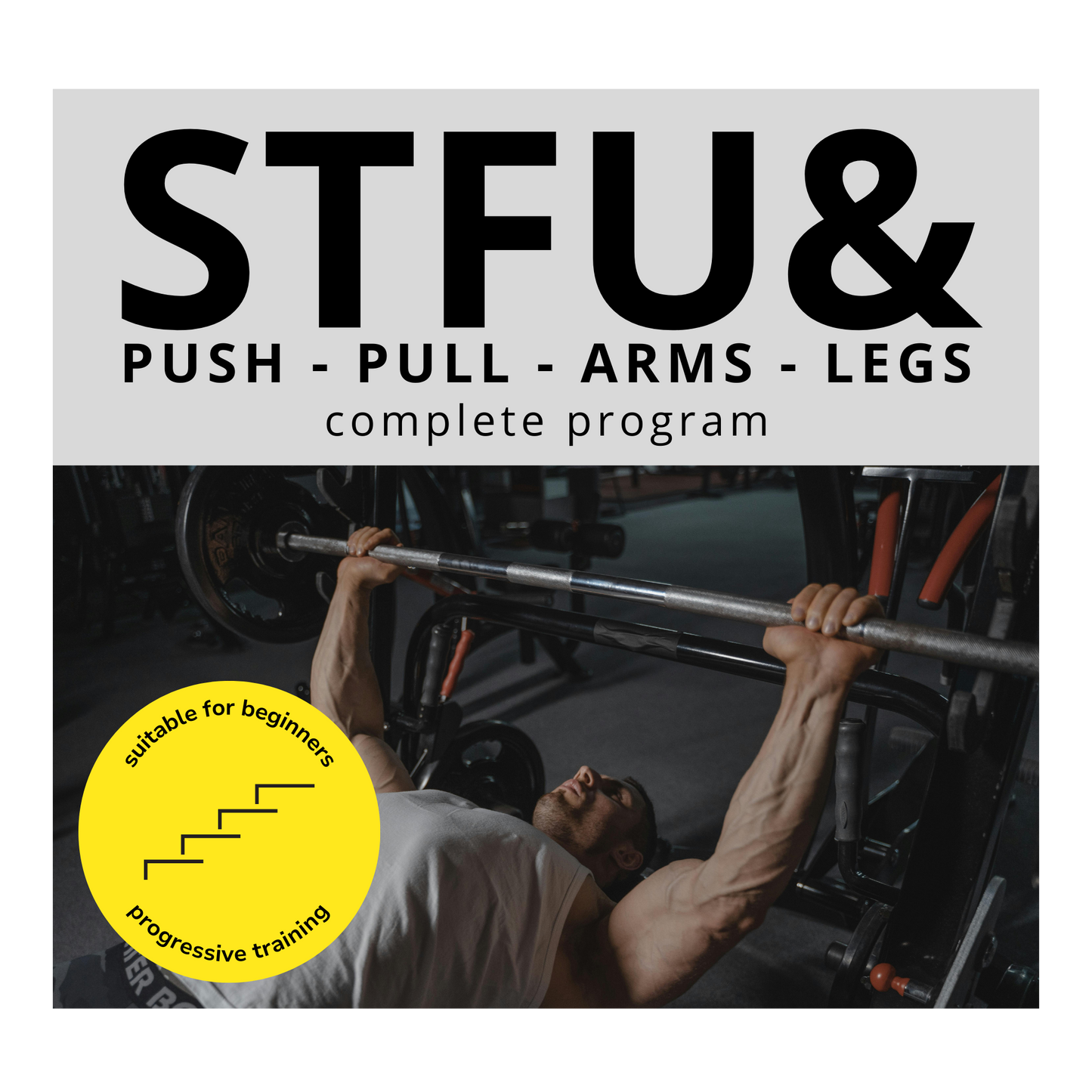 PUSH - PULL - ARMS - LEGS | Full-Body PPAL workout program